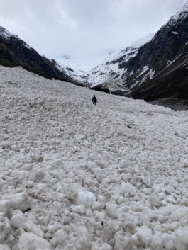 Greizer Huette Zillertaler Alpen