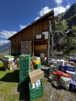 Greizer Huette Zillertaler Alpen
