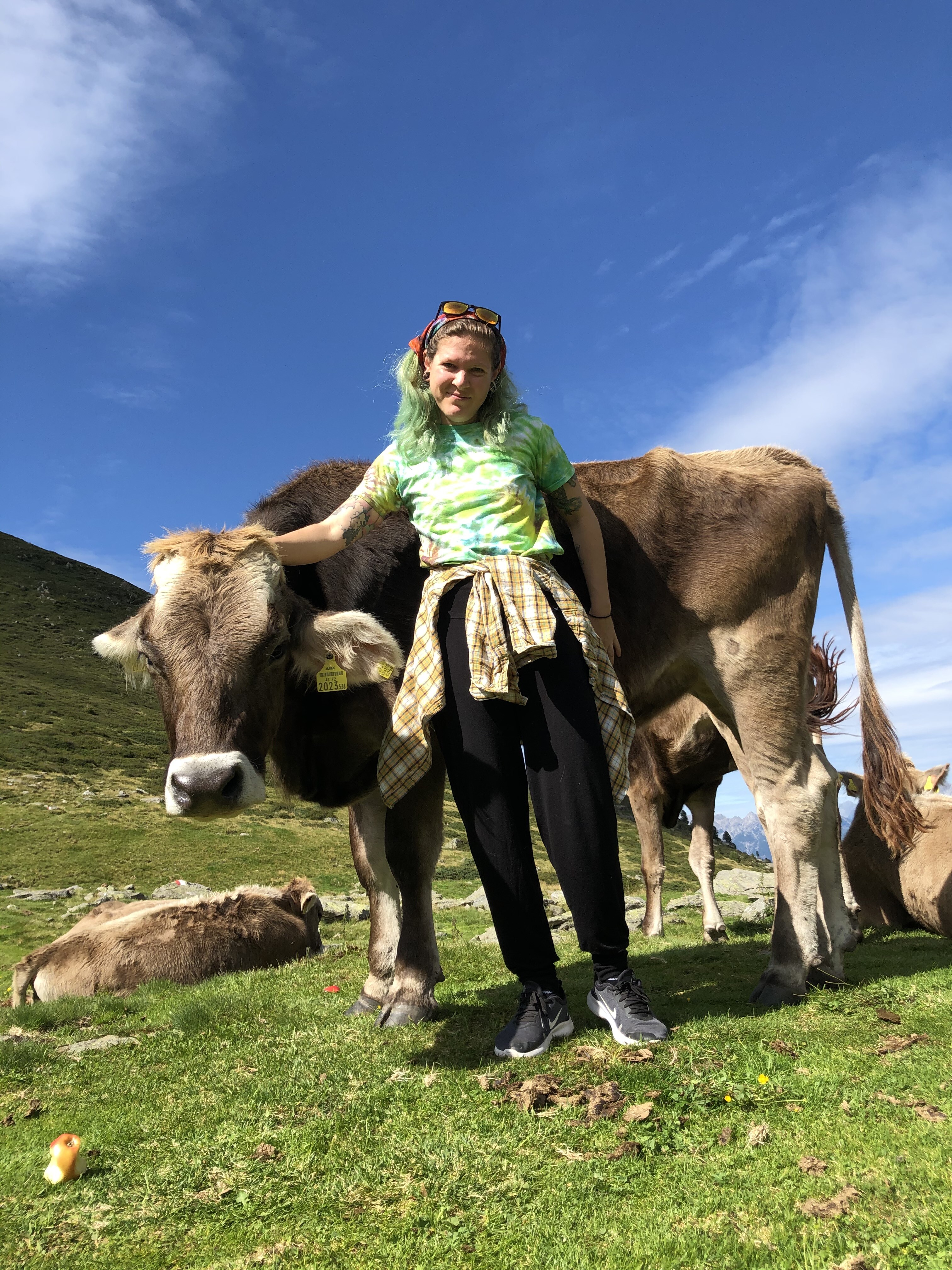 Greizer Huette Zillertaler Alpen