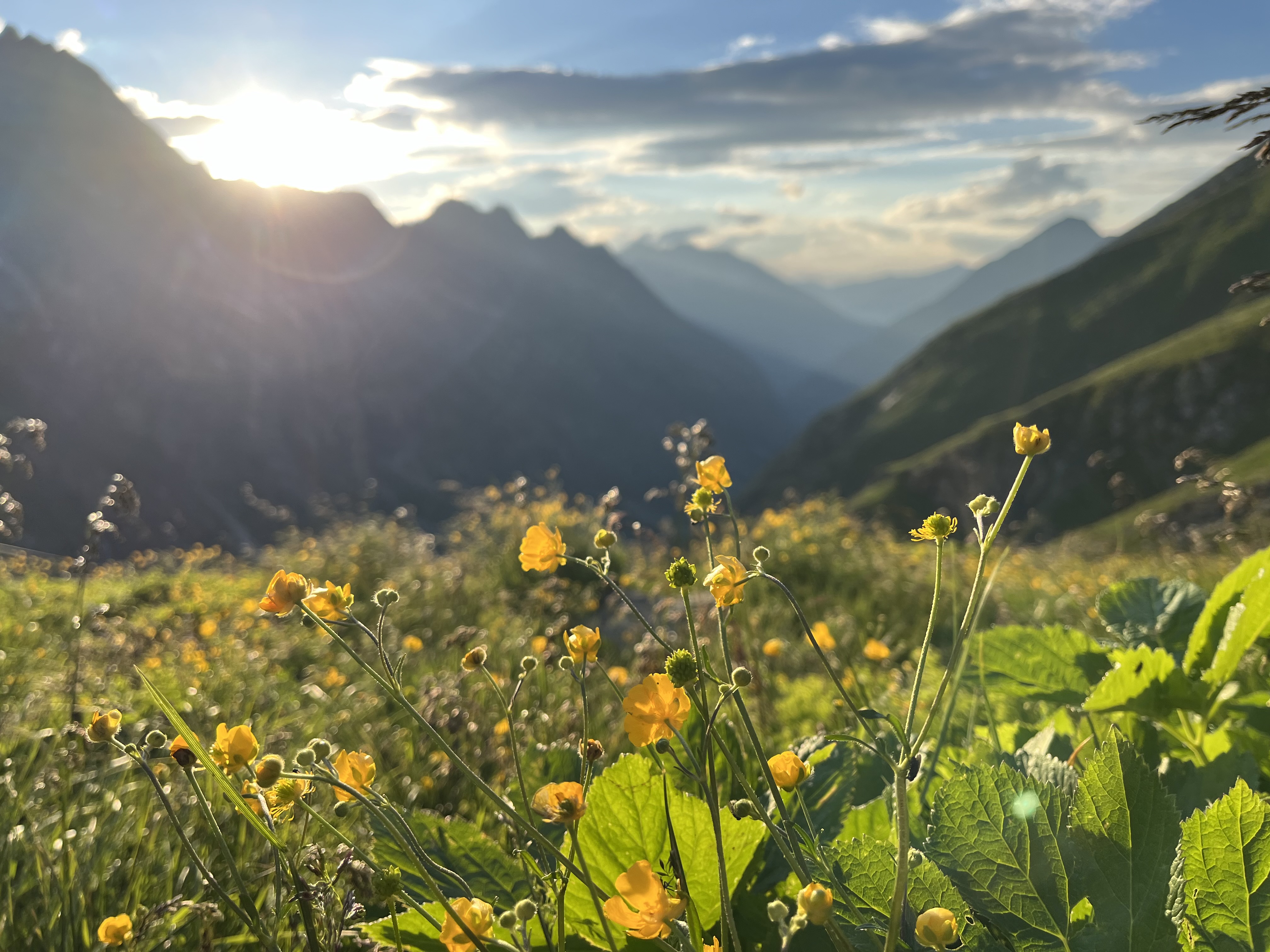 Greizer Hütte in , Tirol